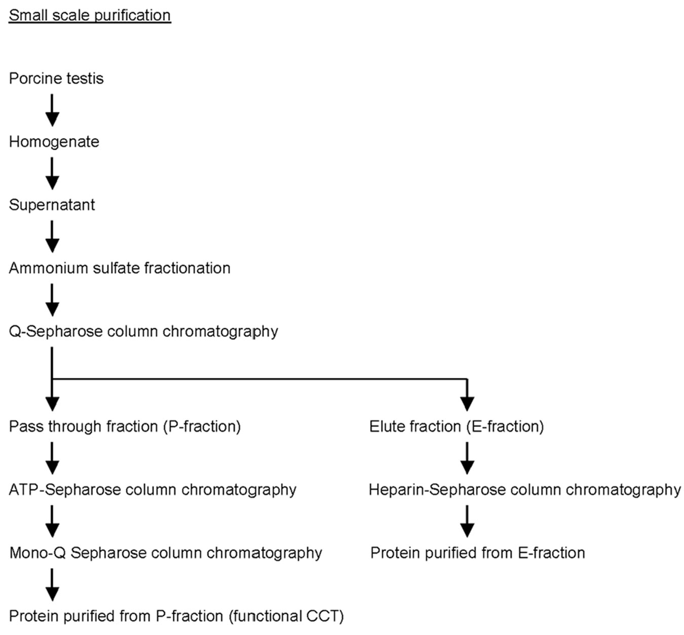 possesses,tremendously cytosolic chaperonin cct possesses gtpase activity