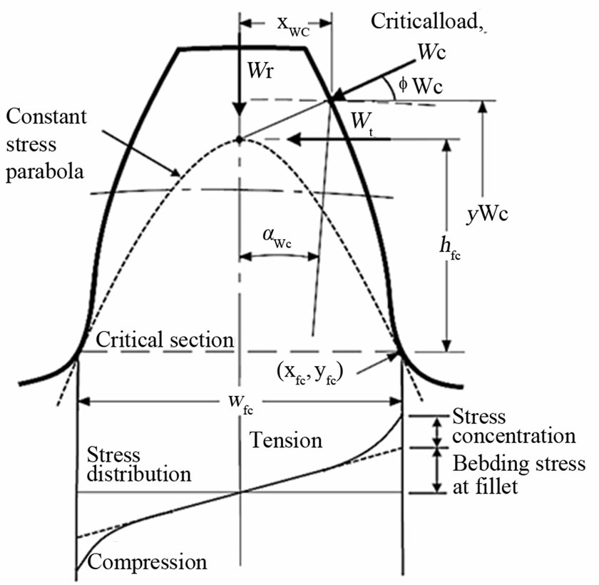 Probabilistic Simulation Approach to Evaluate the ToothRoot Strength
