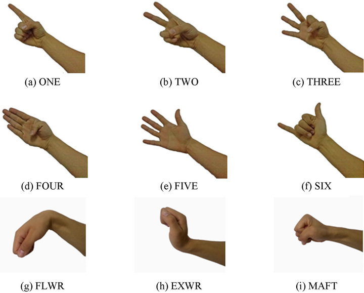 figure    nine types of gestures.