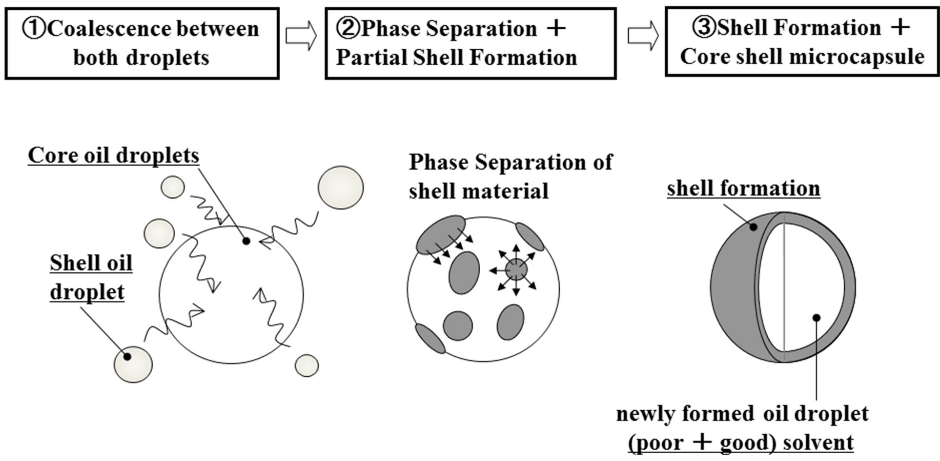 fundamental aspects of quantum physics proceedings of the japan