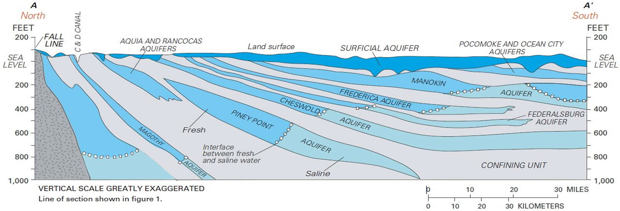 The Location Of The Water Table Is Subject To Change The The Location Of The Water Table Is Subject To Change