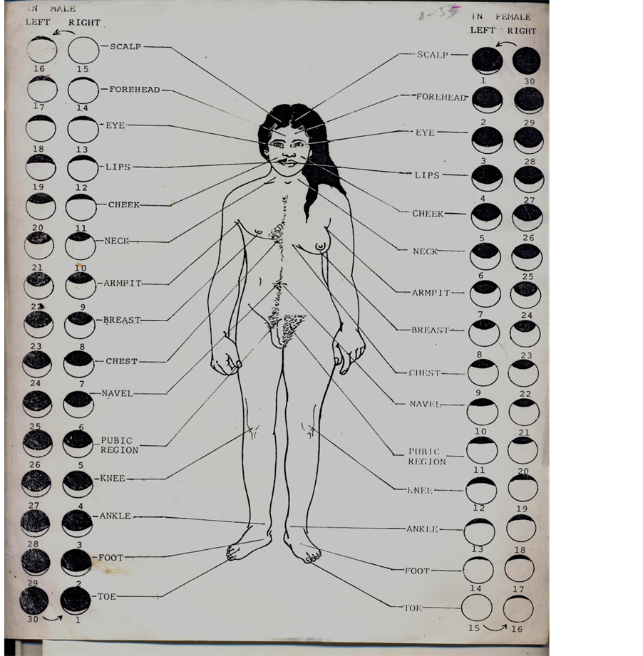 Erogenous Zones Described In Old Sanskrit Literature