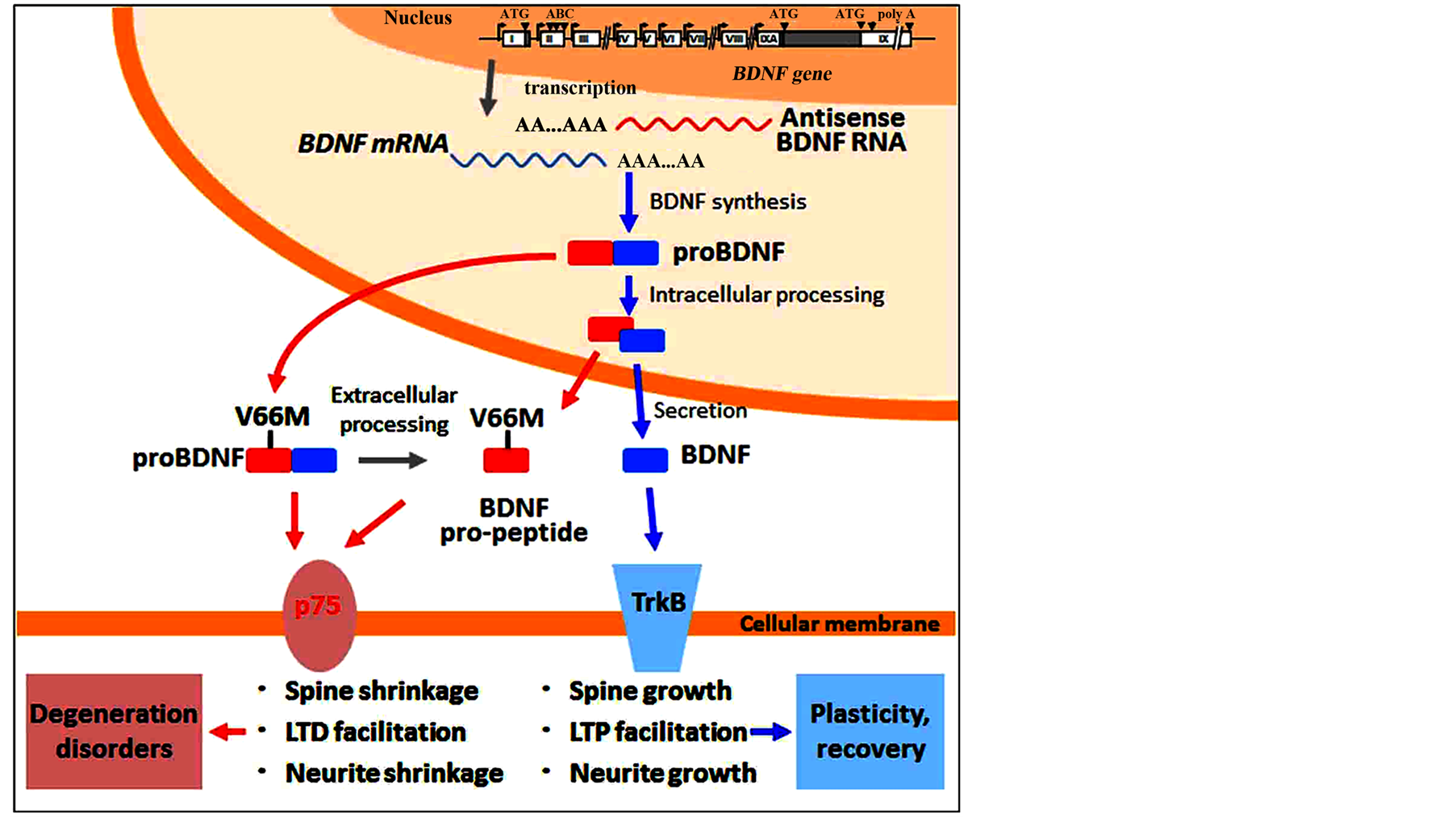 shop chemical and energy process