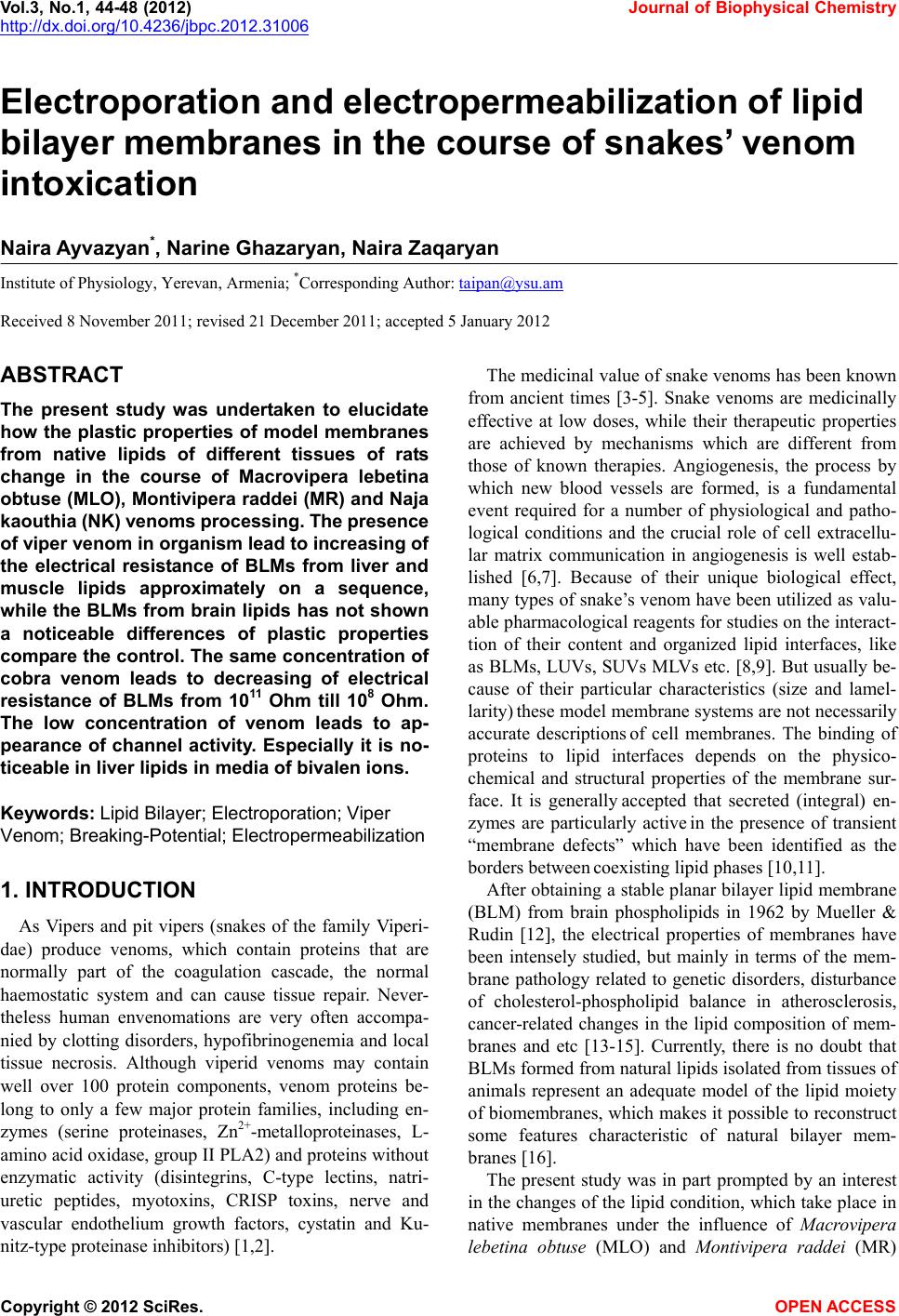 buy measures on topological semigroups convolution products and random