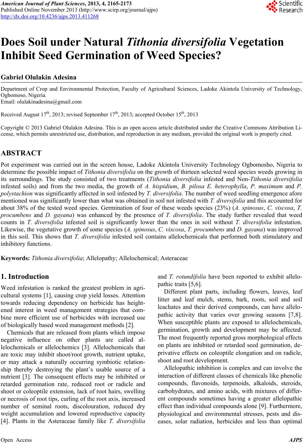 essay papers writing with outline