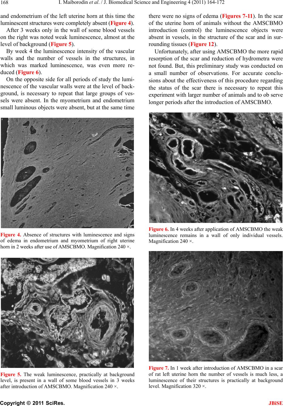 Angiogenesis in Rat Uterine Scar after Introduction af ...