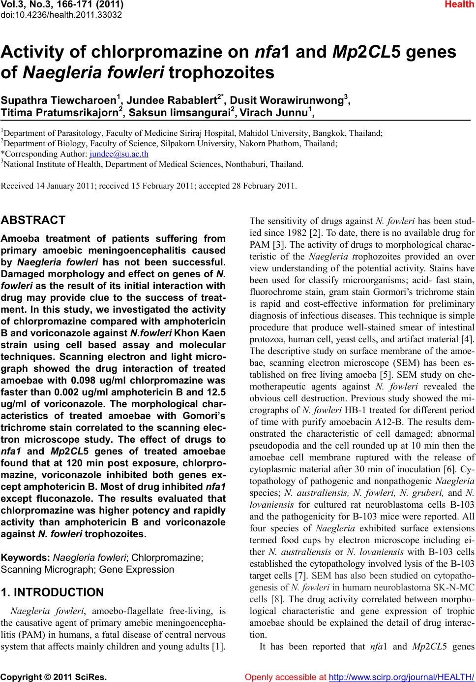 Naegleria fowleri water temperature picture