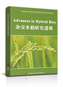Advances in Hybrid Rice