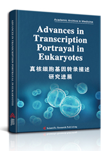 Advances in Transcription Portrayal in Eukaryotes