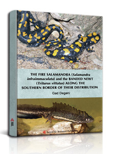 THE FIRE SALAMANDRA (Salamandra infraimmaculata) and the BANDED NEWT (Triturus vittatus) 
ALONG THE SOUTHERN BORDER OF THEIR DISTRIBUTION