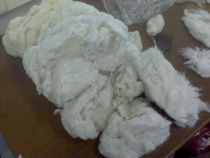 Experimental Testing of Composite Panels Reinforced with Cotton Fibers