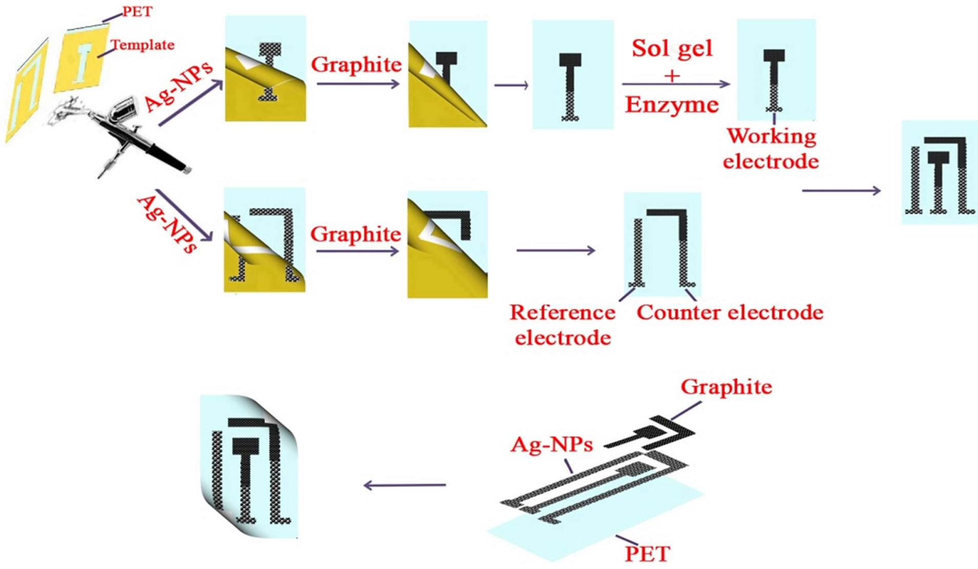 Amperometric Hydrogen Peroxide Biosensor Based on Horseradish ...