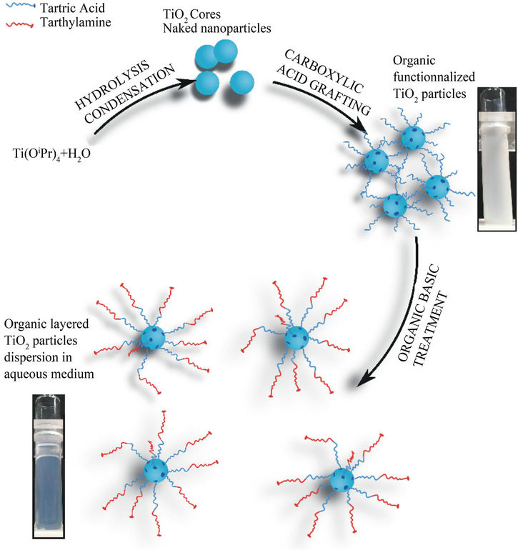 One-pot Synthesis of TiO2 Nanoparticles in Suspensions for ...