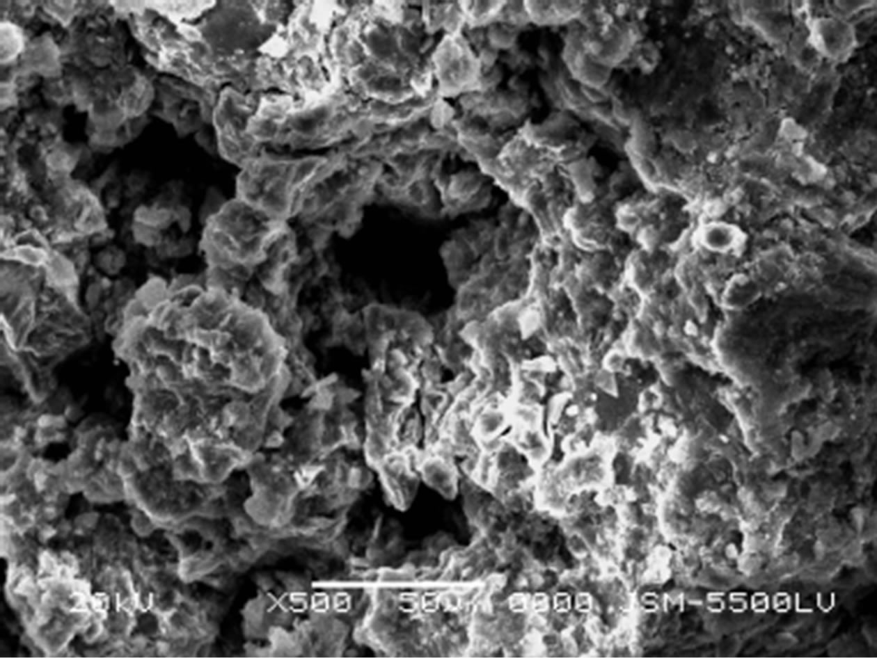 Cement Kiln Dust Chemical Stabilization of Expansive Soil Exposed at El