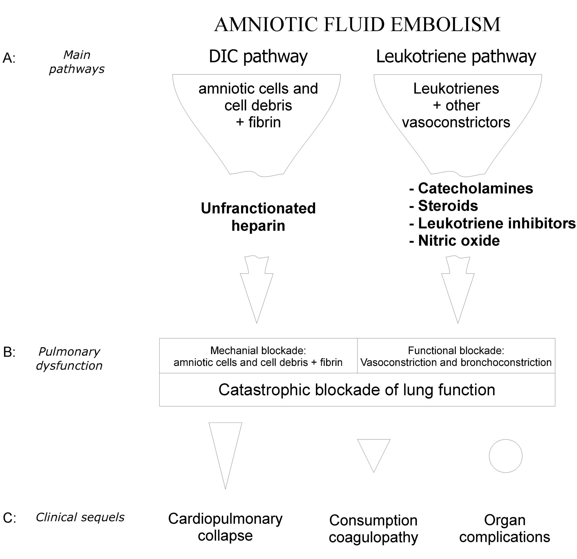 aok treatment for amniotic fluid embolism aok treatment for amniotic fluid embolism