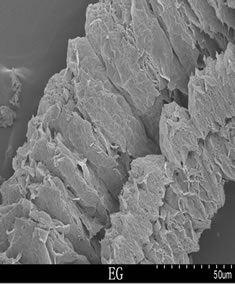 Preparation for Graphite Materials and Study on Electrochemical ...