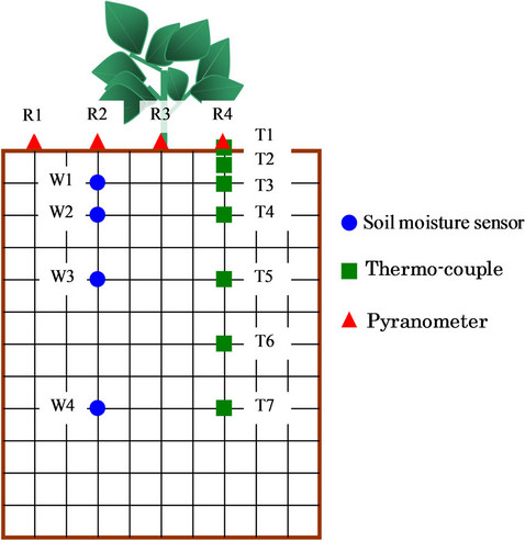 Effect of Crop Root on Soil Water Retentivity and Movement