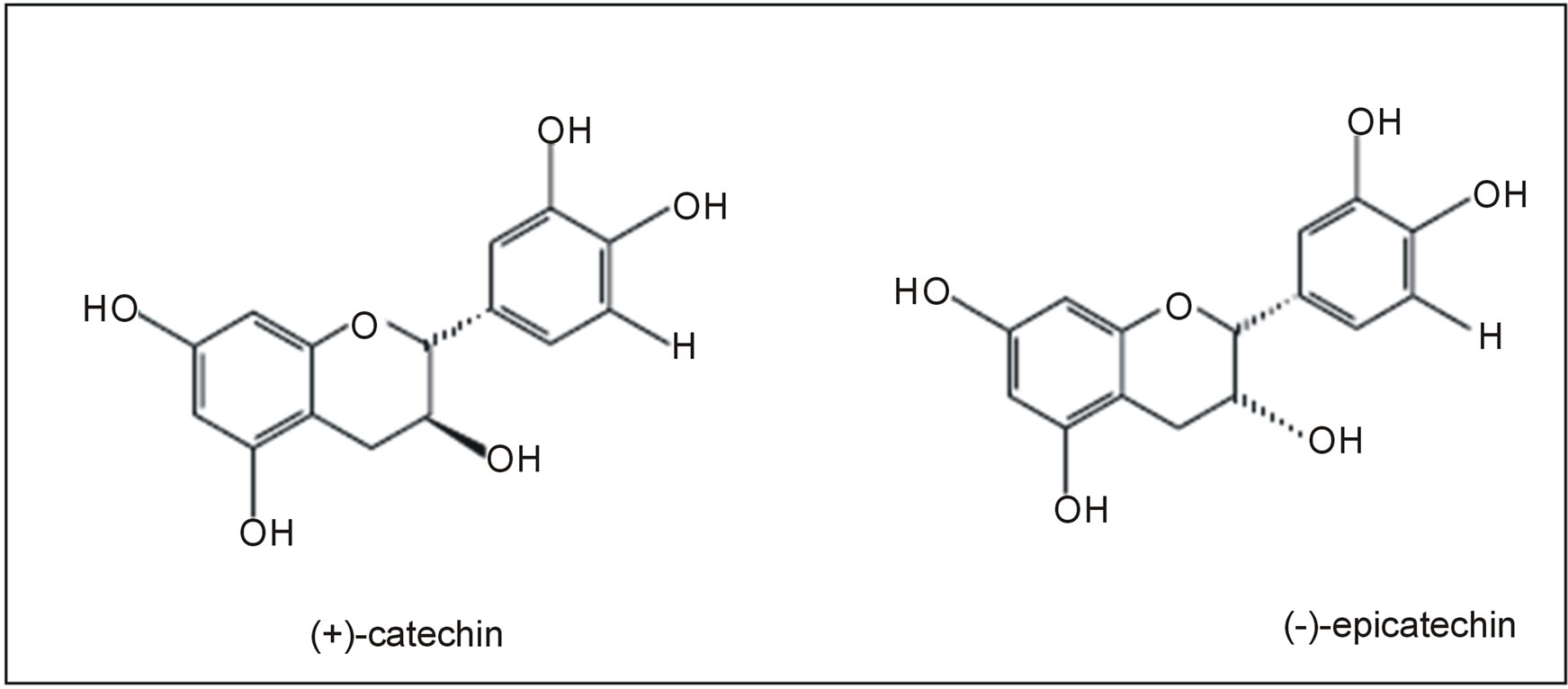 catechin and epicatechin