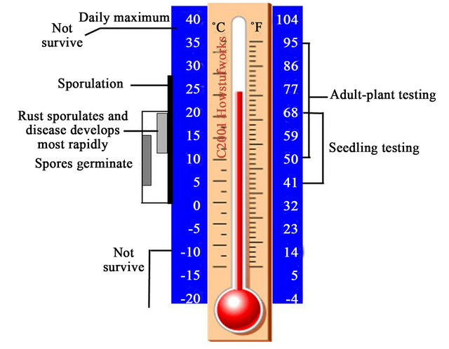 Adult Temperatures