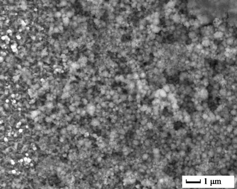 Growth and Electrical Properties of Doped ZnO by Electrochemical Deposition