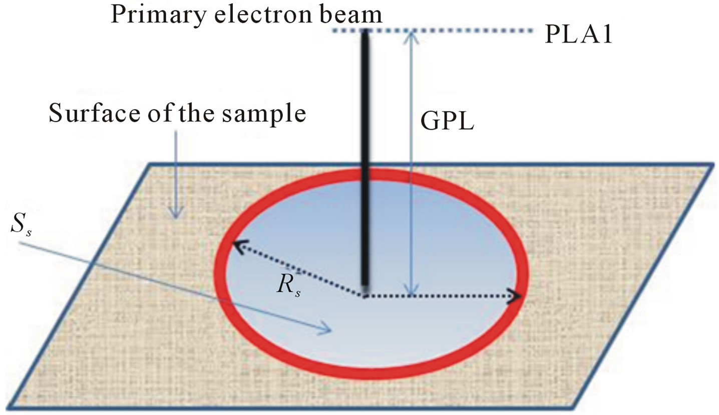 The Surface Skirt in Gaseous Scanning Electron Microscope (GSEM)