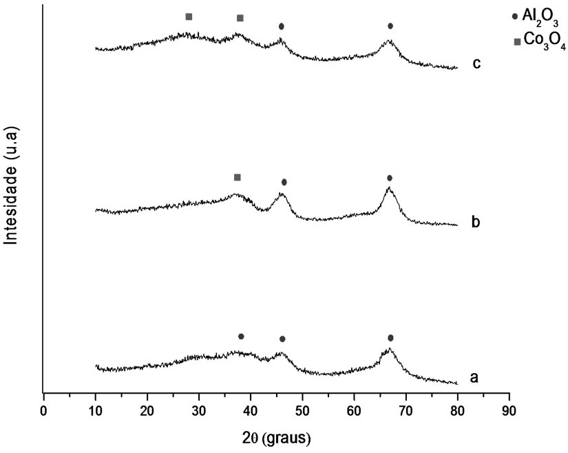 Effect of the Preparation Method on Co/Al 2 O 3 Catalyst Applied to ...