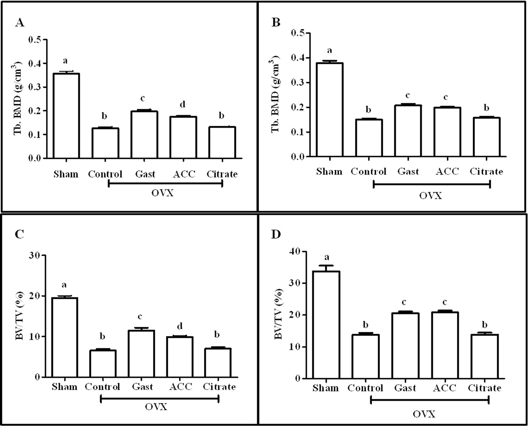 Bone loss prevention in ovariectomized rats using stable amorphous ...
