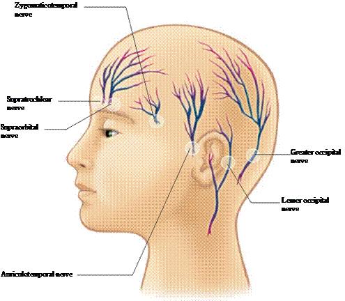 The Use of "Scalp Block" in Pediatric Patients