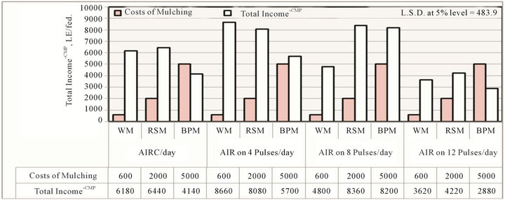 Effect of pulse drip irrigation and mulching systems on yield, quality ...