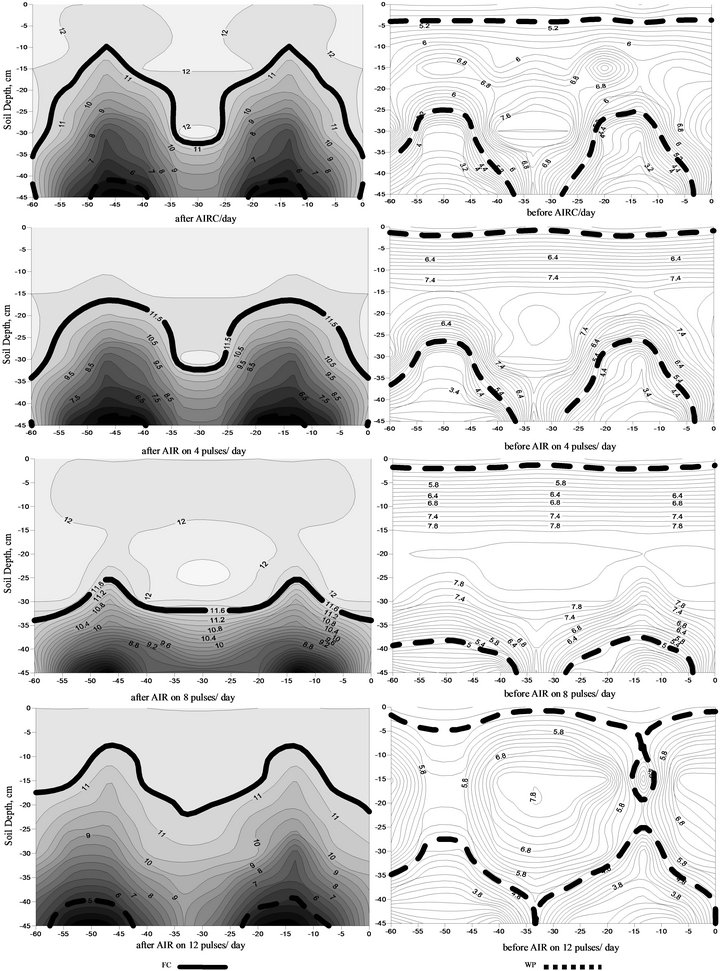 Effect of pulse drip irrigation and mulching systems on yield, quality ...