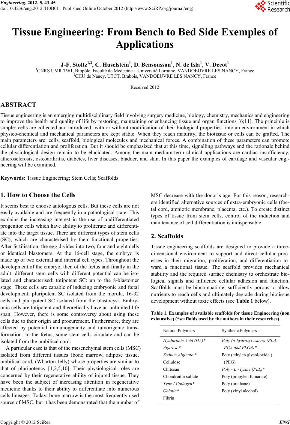 Tissue engineering essay 07 image