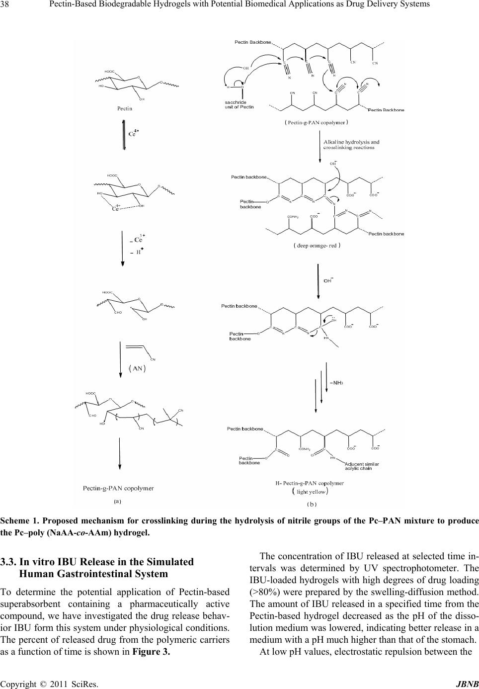 PectinBased Biodegradable Hydrogels with Potential Biomedical