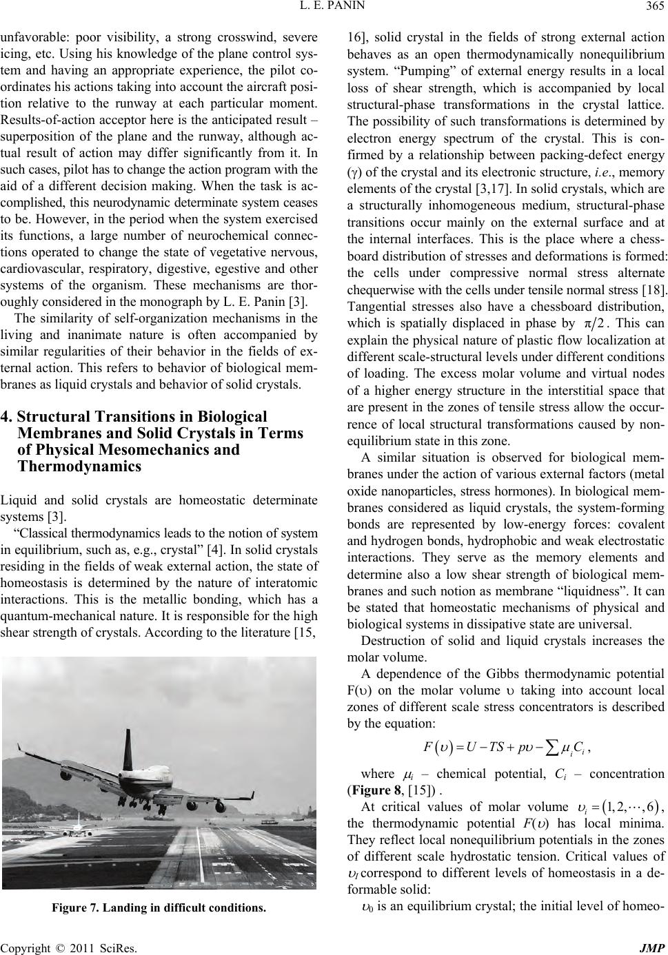 homeostatic determinate systems and thermodynamics of self