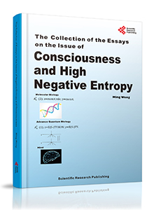 The Collection of Essays on the Issue of Consciousness and High Negative Entropy