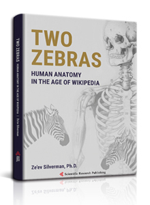 Two Zebras
Human Anatomy in the Age of Wikipedia