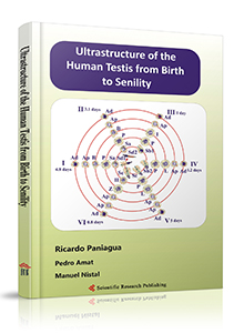 Ultrastructure of the Human Testis from Birth to Senility