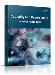 Causality and Reversibility in Irreversible Time