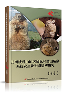 Ecomorphology and Phygesis in Eothenomys sp. and Apodemus chevrieri of Hengduan Mountains Region of Yunnan<br>云南横断山地区绒鼠和高山姬鼠系统发生及形态适应研究
